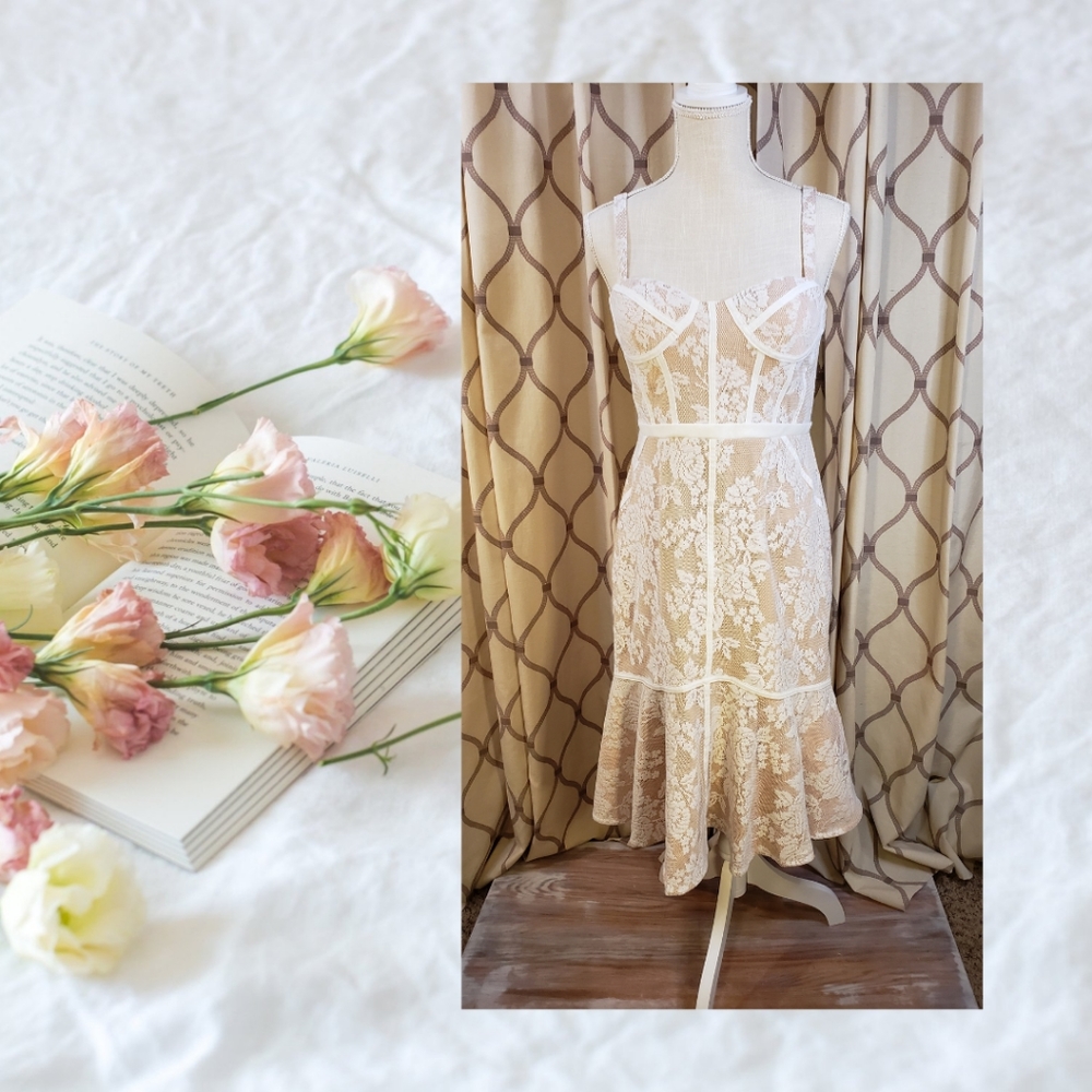 Elegant Lace Women’s Prom Dress - Picture 2 of 11